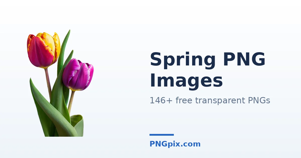 Spring PNG images