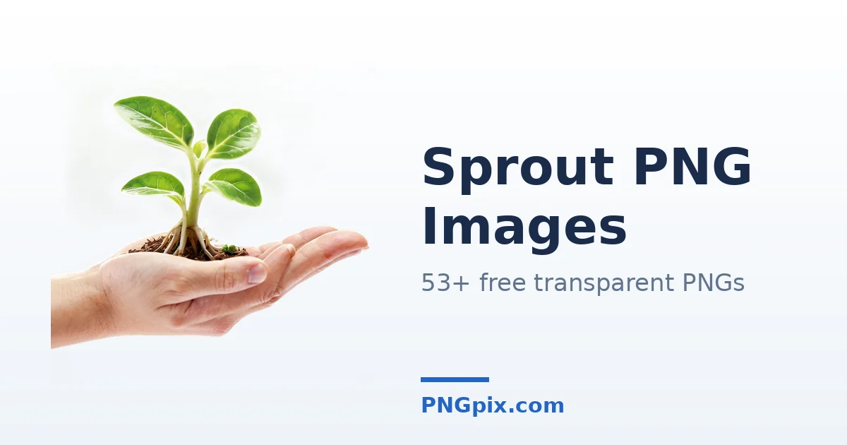 Sprout PNG images