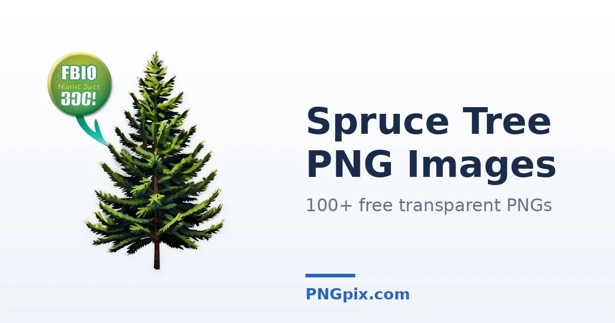 Spruce Tree PNG images