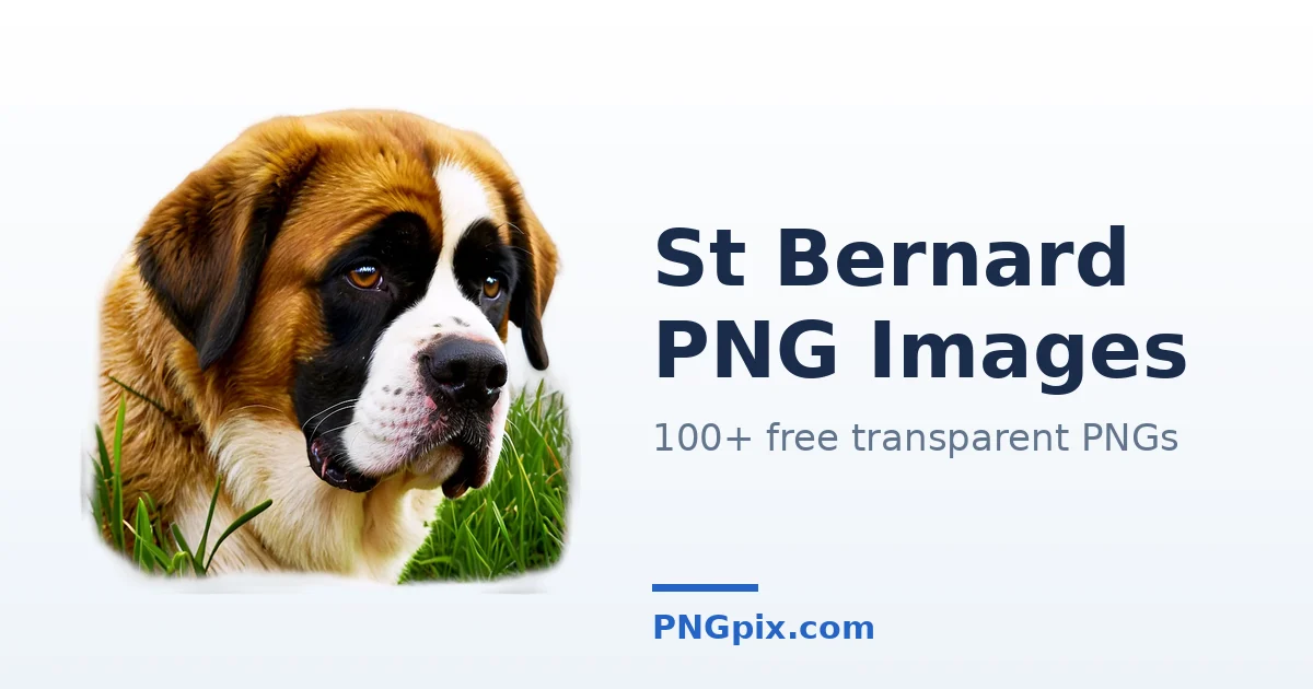 St Bernard PNG images