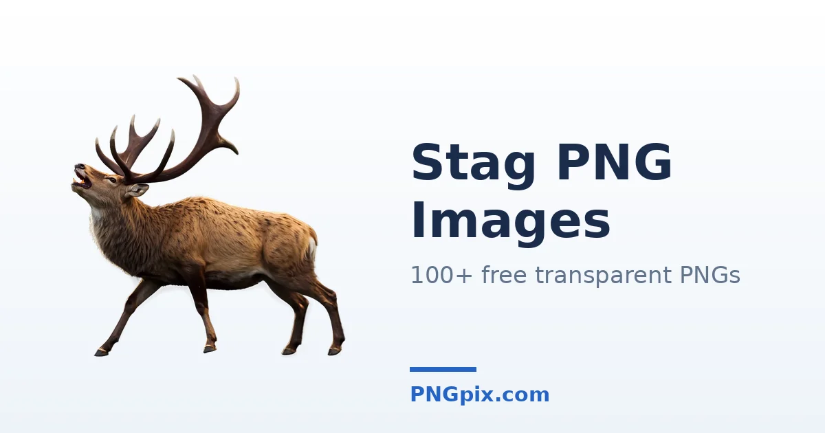 Stag PNG images