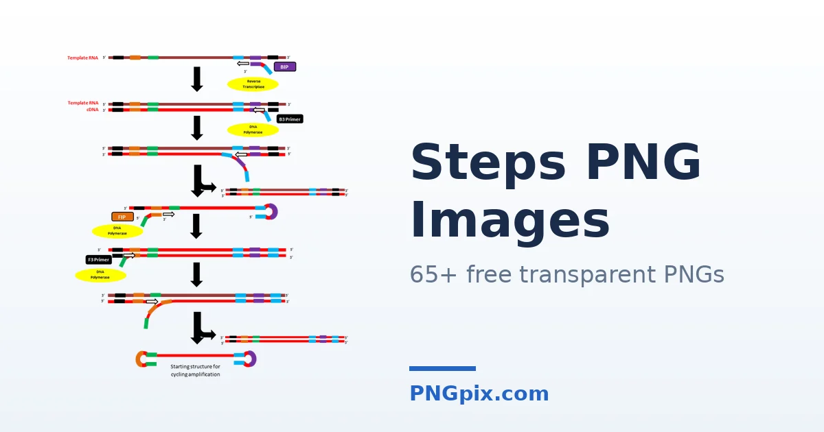 Steps PNG images
