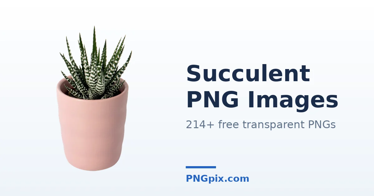 Succulent PNG images