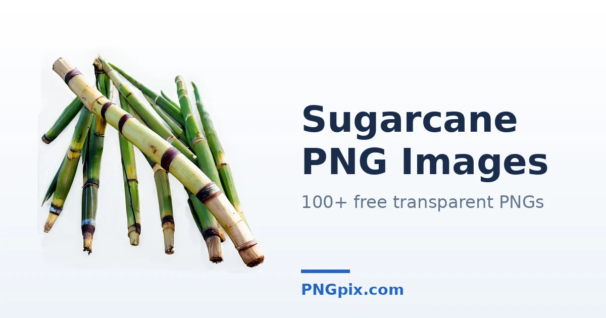 Sugarcane PNG images