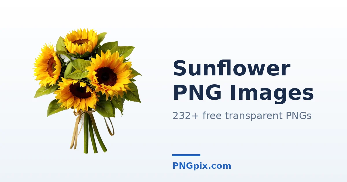 Sunflower PNG images