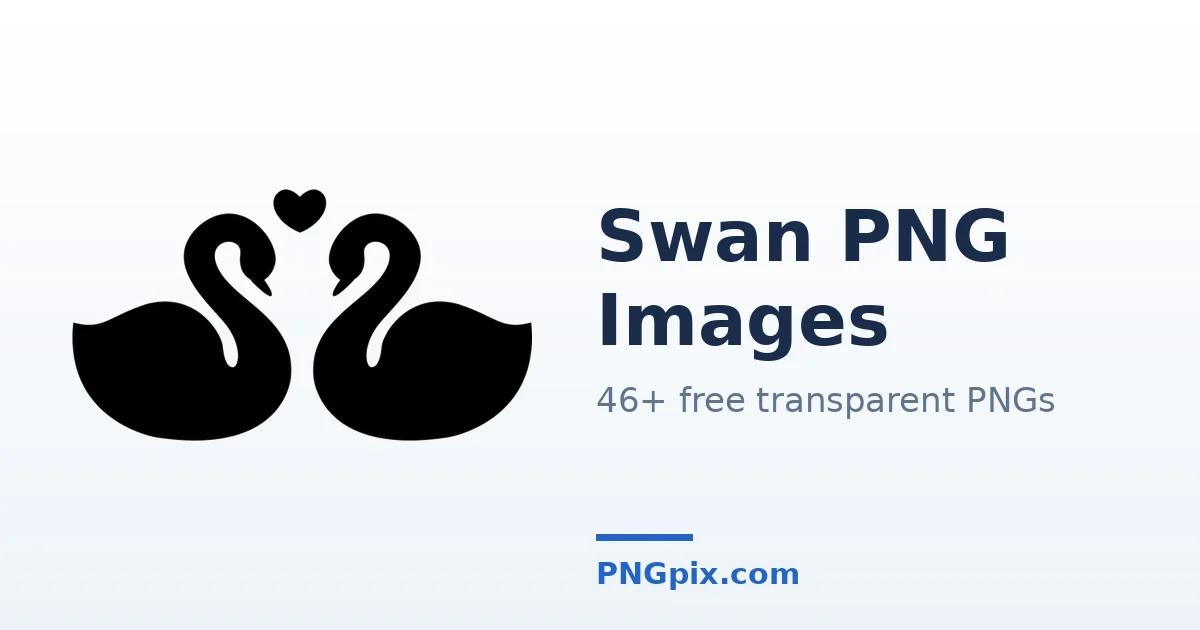 Swan PNG images