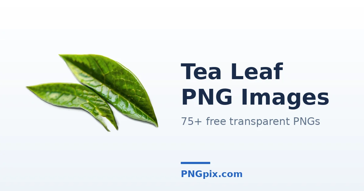 Tea Leaf PNG images