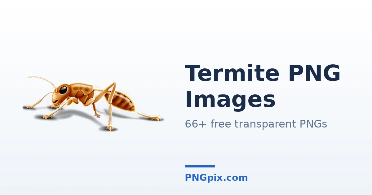 Termite PNG images