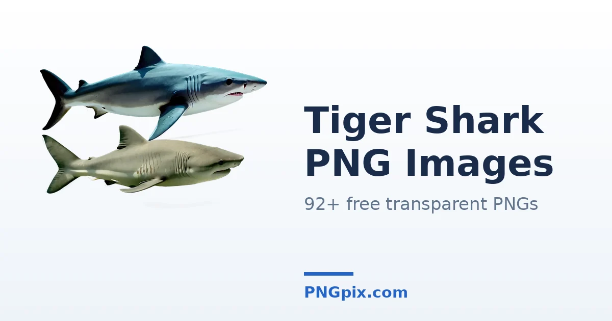 Tiger Shark PNG images