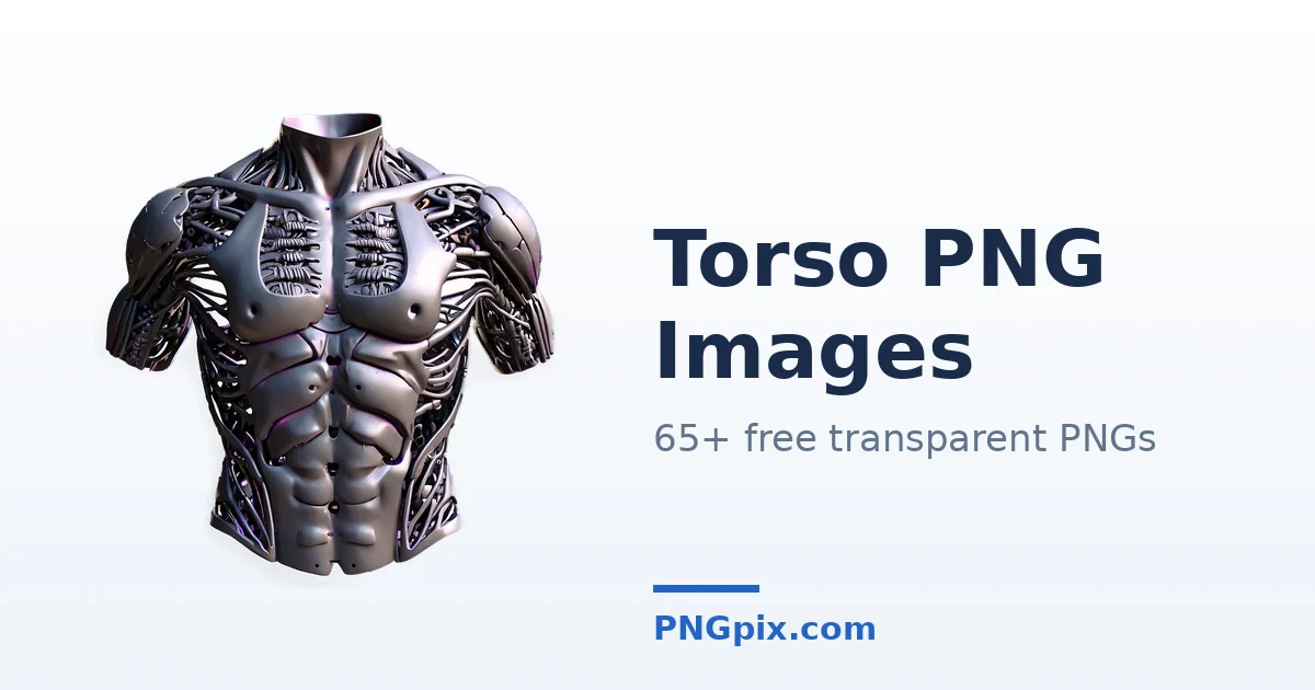 Torso PNG images