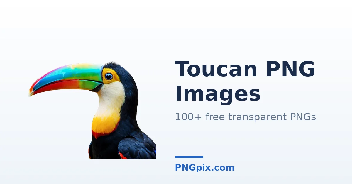 Toucan PNG images