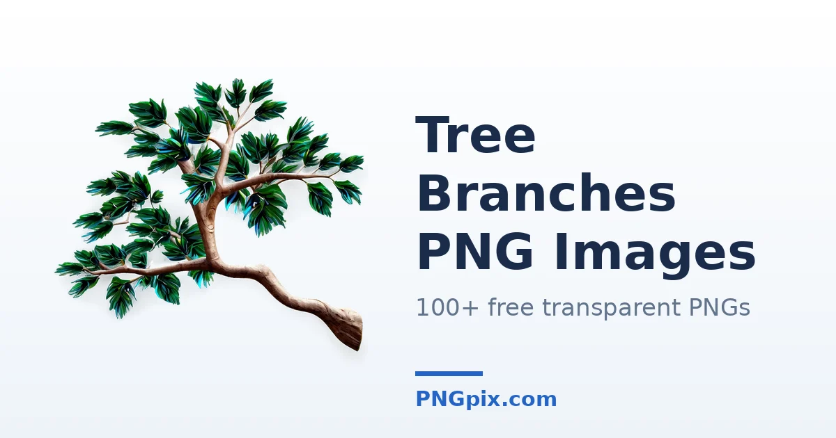 Tree Branches PNG images