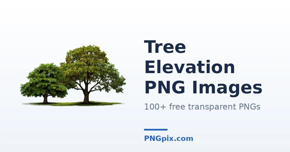 Tree Elevation PNG images