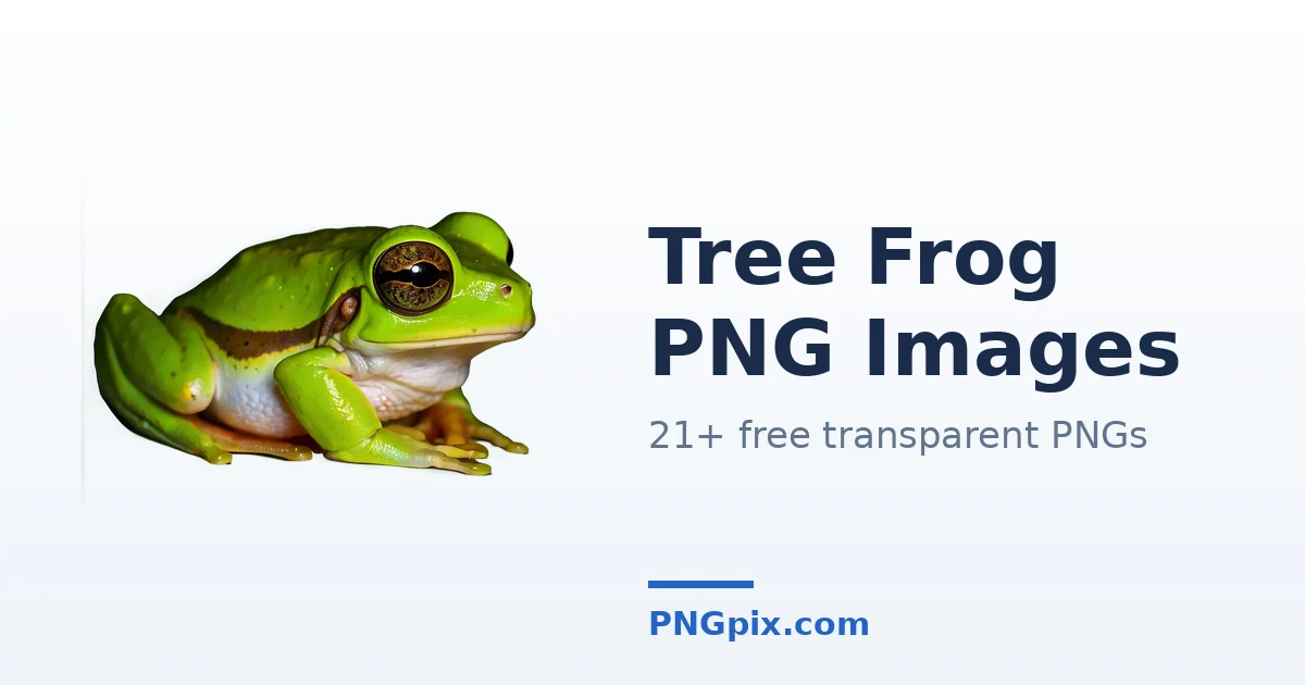 Tree Frog PNG images