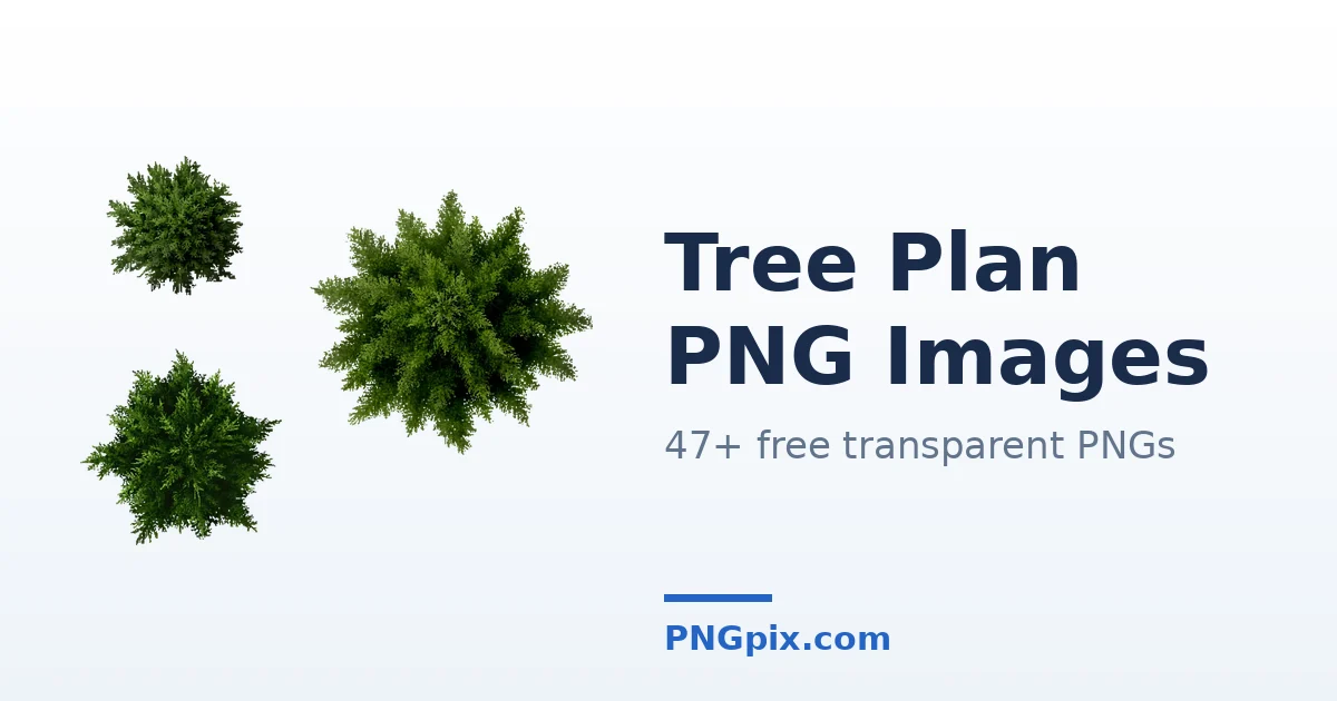 Tree Plan PNG images