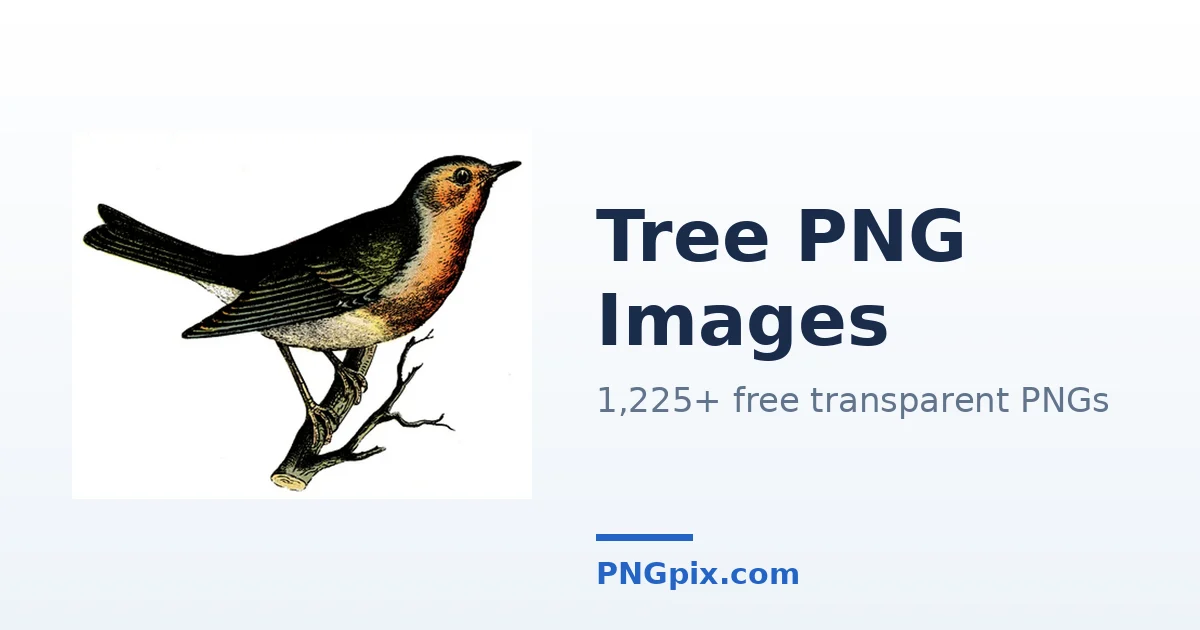 Tree PNG images