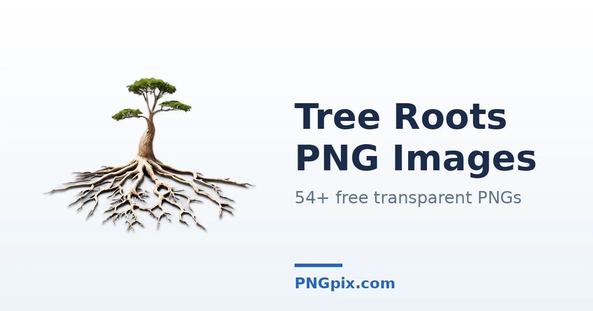 Tree Roots PNG images