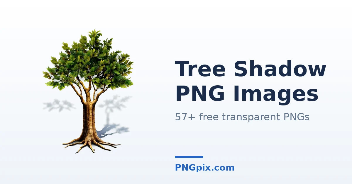 Tree Shadow PNG images