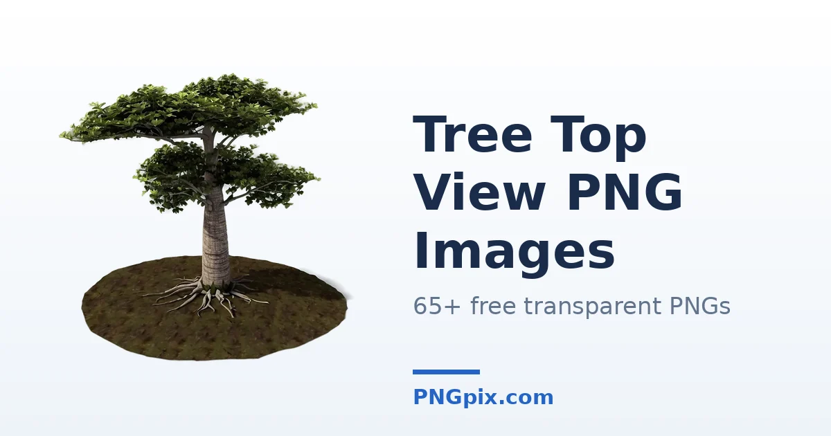 Tree Top View PNG images