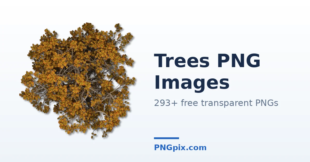 Trees PNG images