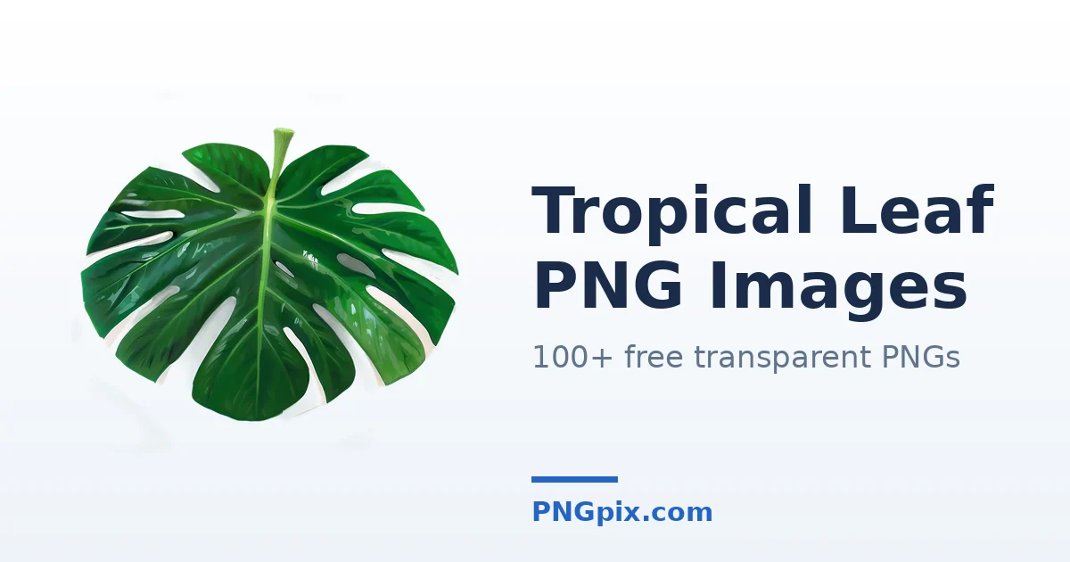 Tropical Leaf PNG images