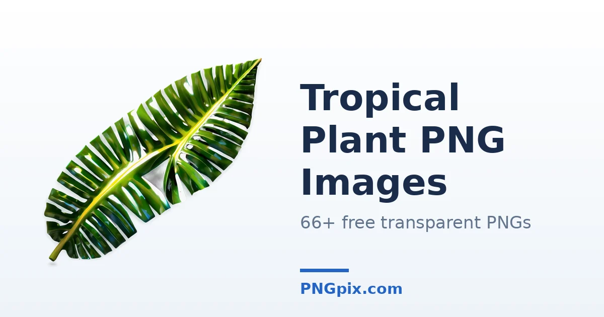 Tropical Plant PNG images