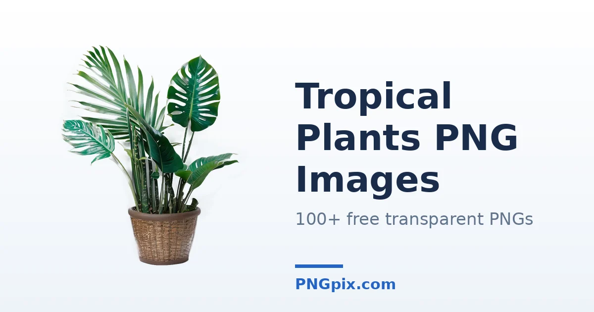 Tropical Plants PNG images