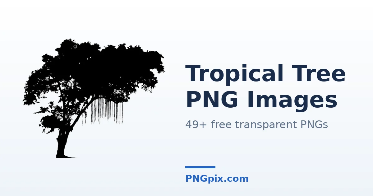 Tropical Tree PNG images