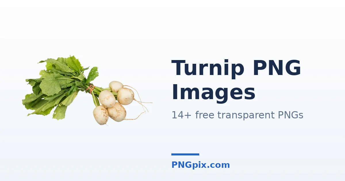 Turnip PNG images