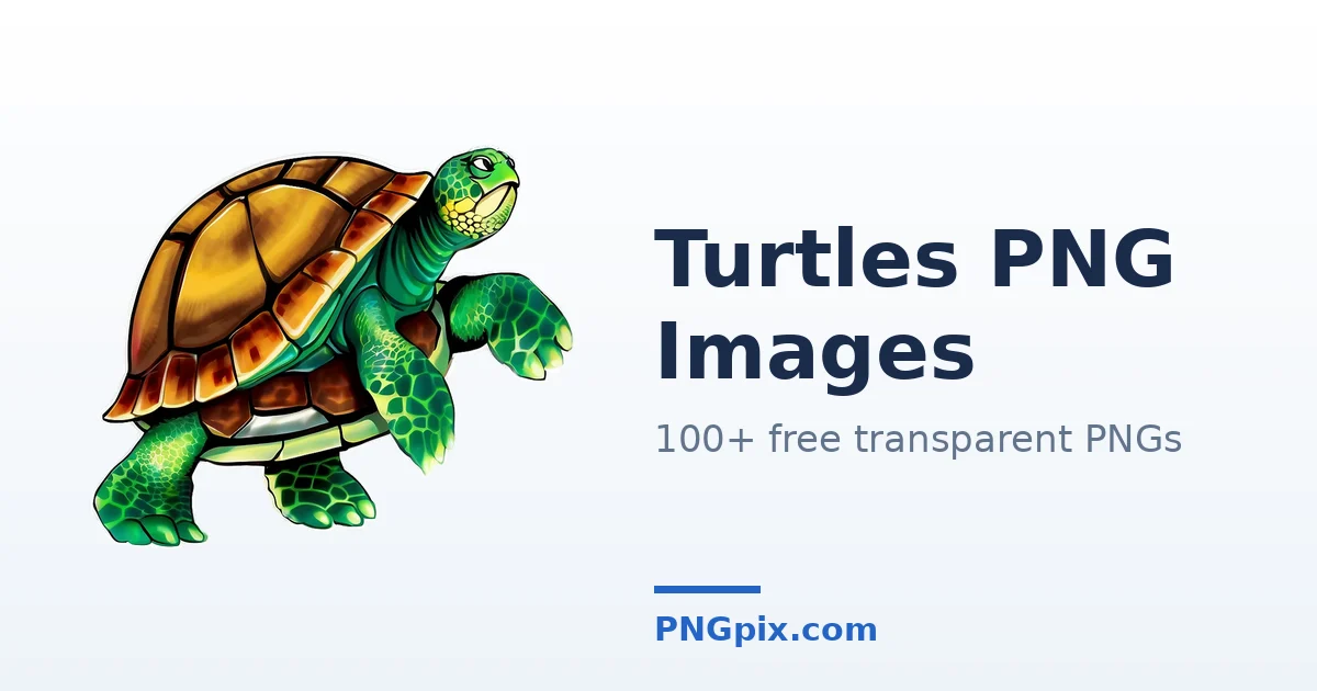 Turtles PNG images