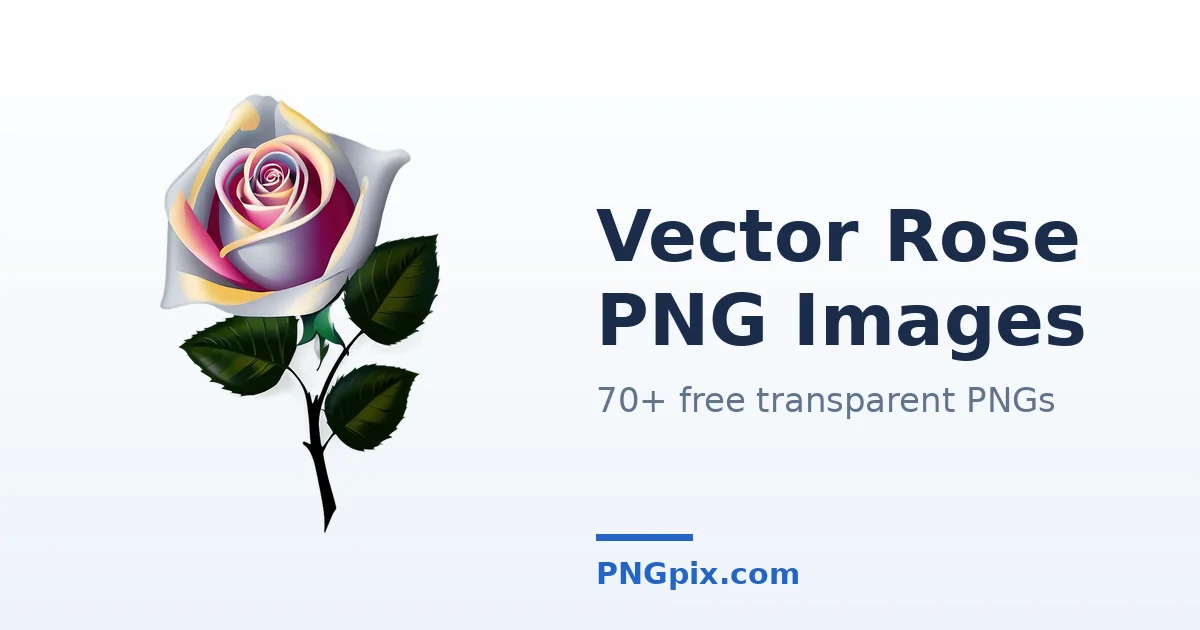 Vector Rose PNG images