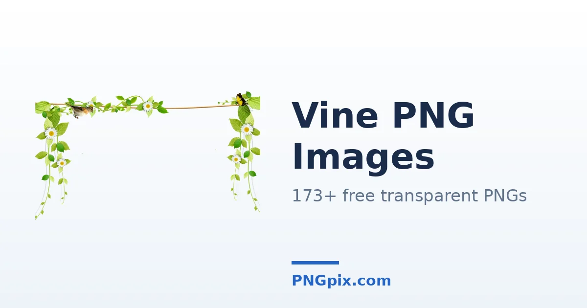 Vine PNG images