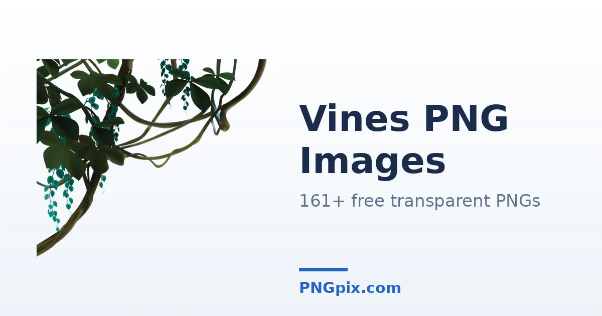 Vines PNG images