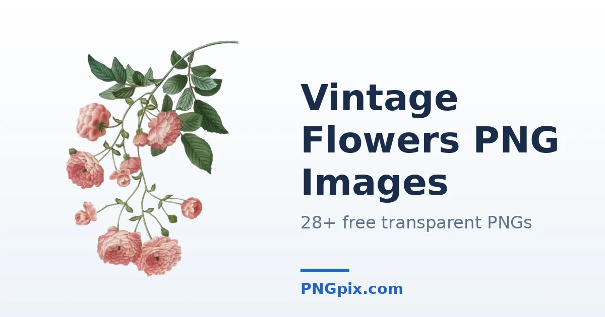 Vintage Flowers PNG images