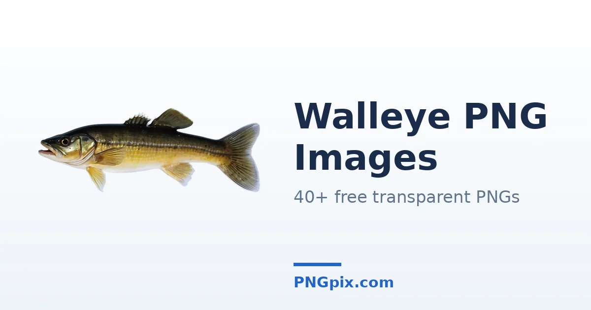 Walleye PNG images