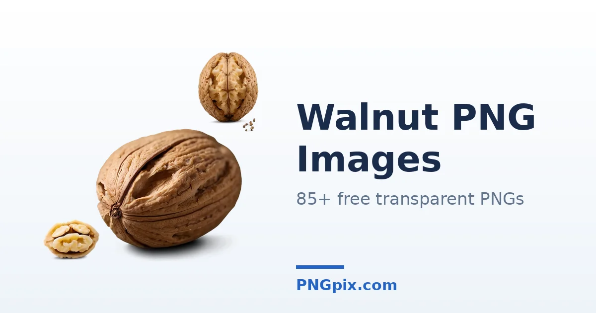 Walnut PNG images