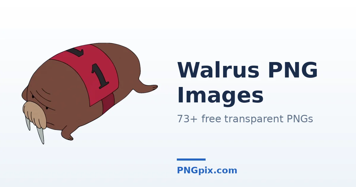 Walrus PNG images