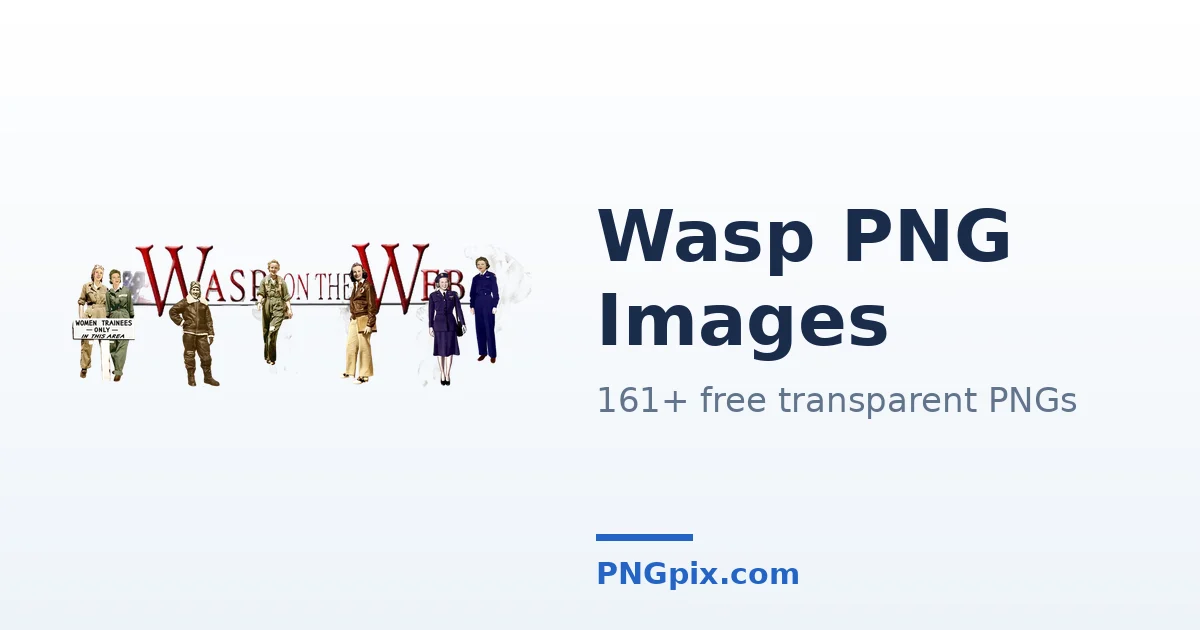 Wasp PNG images