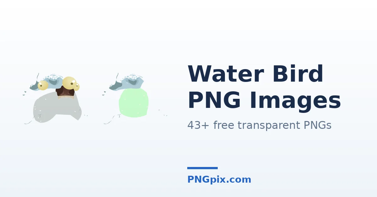 Water Bird PNG images