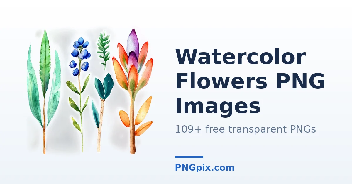 Watercolor Flowers PNG images