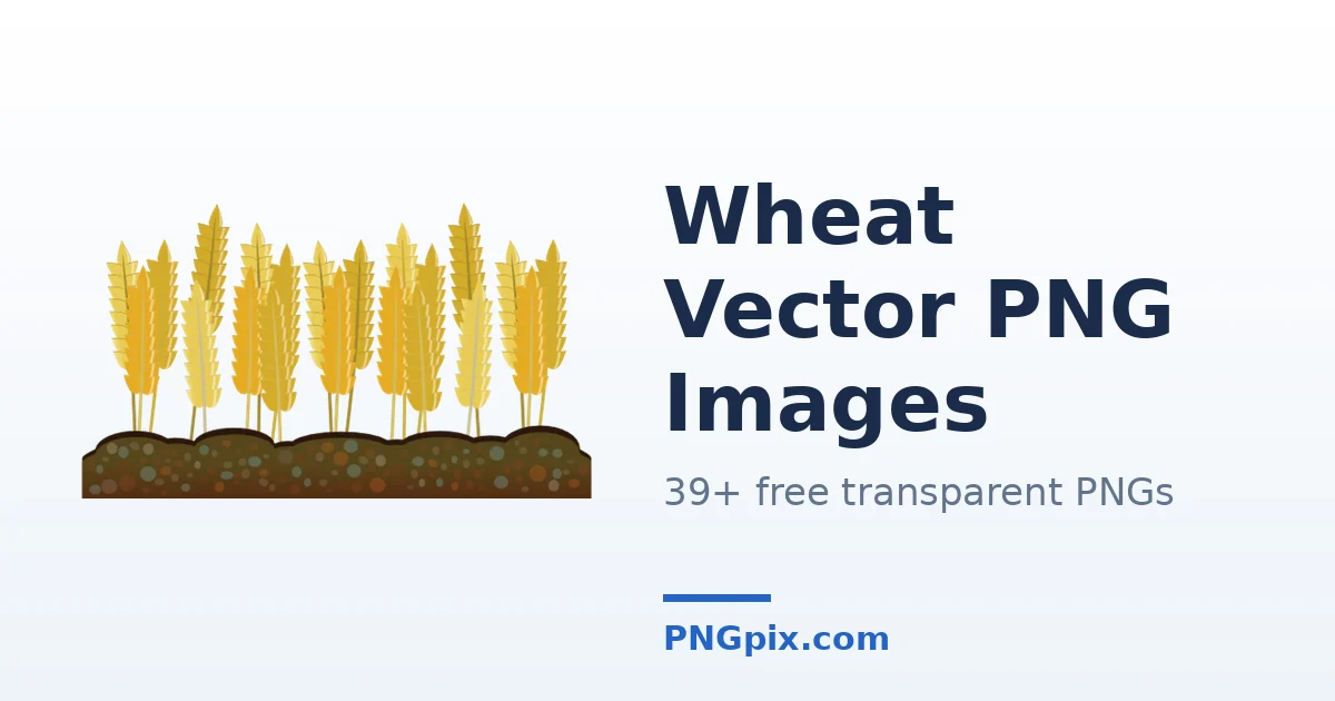 Wheat Vector PNG images
