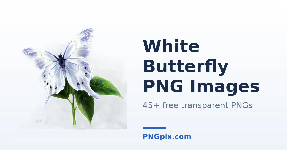 White Butterfly PNG images