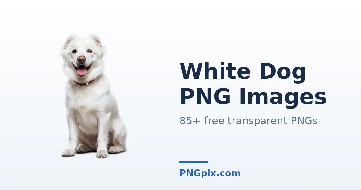 White Dog PNG images