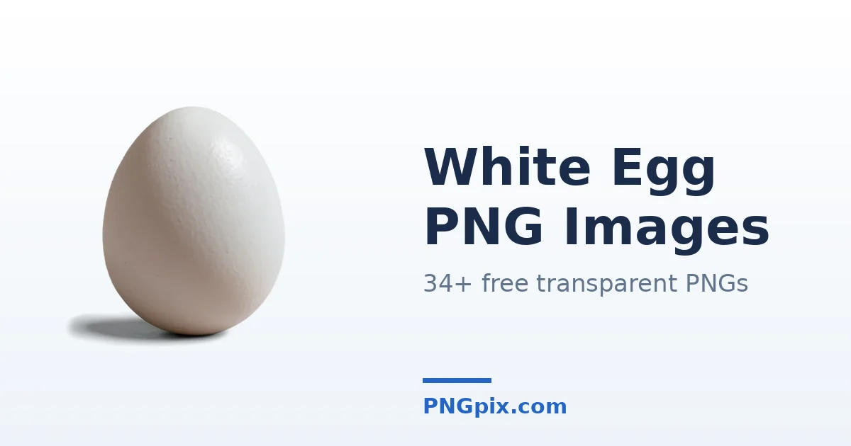 White Egg PNG images