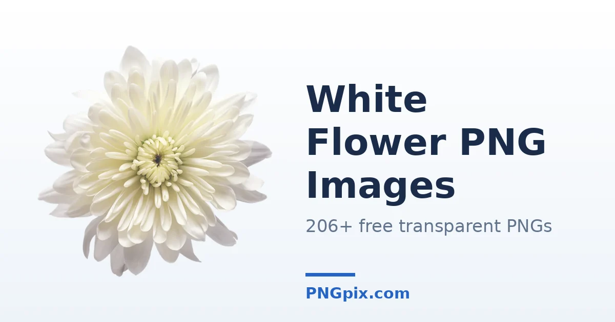 White Flower PNG images