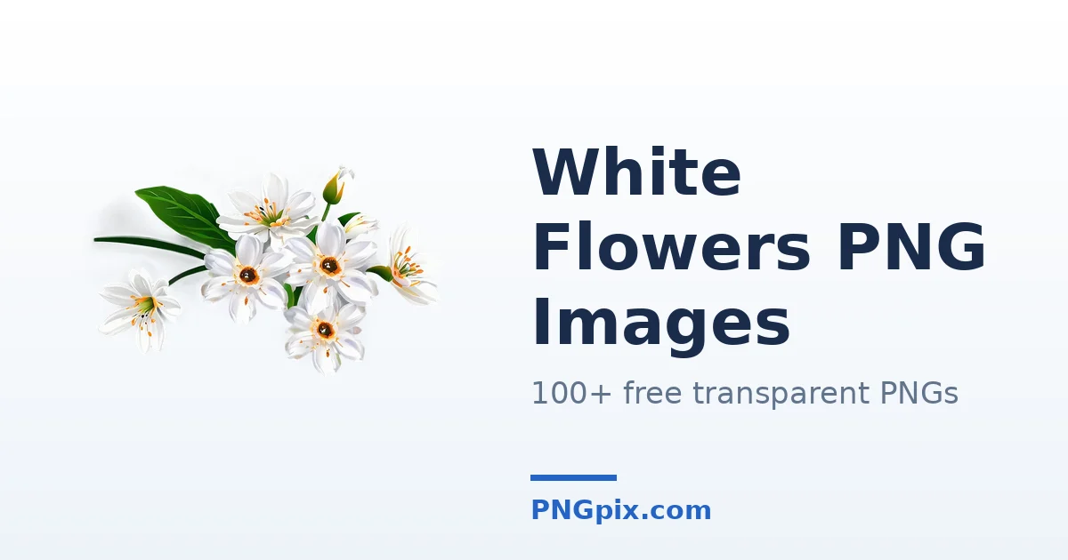 White Flowers PNG images