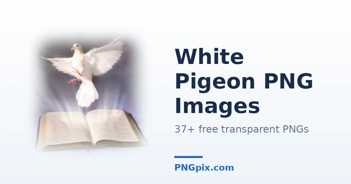 White Pigeon PNG images