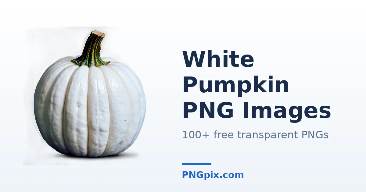 White Pumpkin PNG images