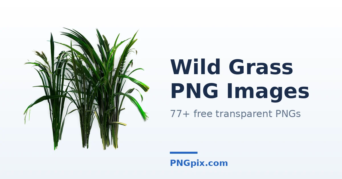 Wild Grass PNG images