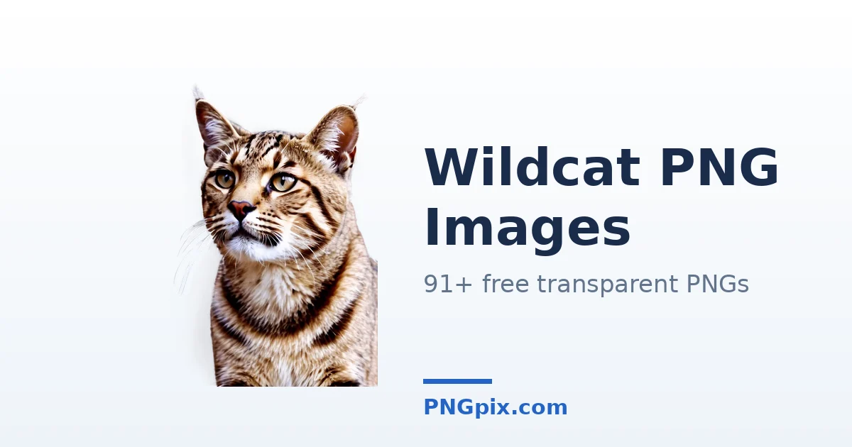 Wildcat PNG images